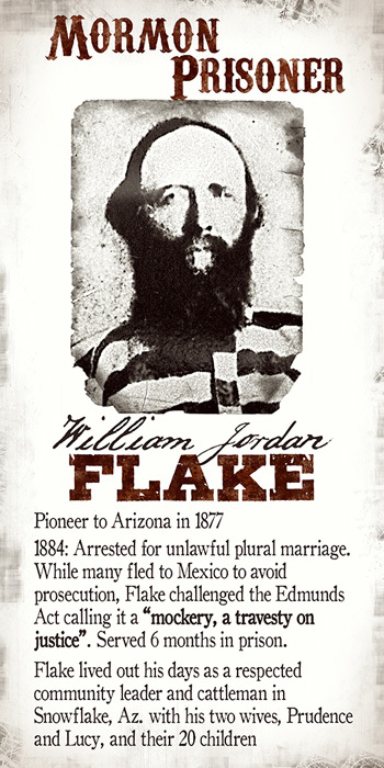 Flake Banner